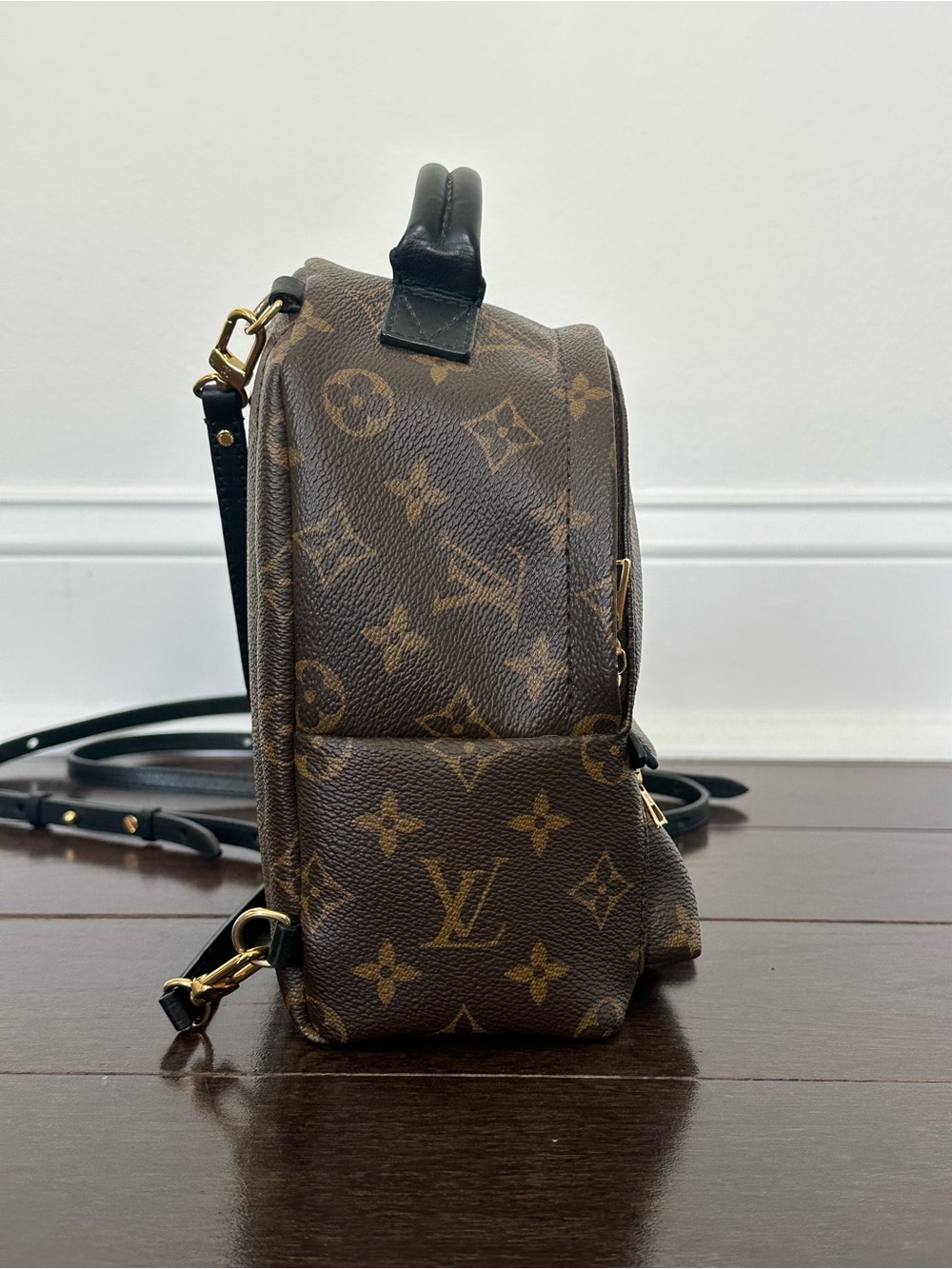 Louis Vuitton Palm Springs Mini Backpack - Picture 2 of 16